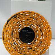 Wake up: Hand-Painted Vinyl Record Framed Art